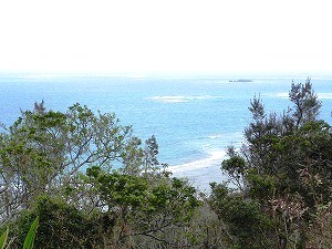 20121011 okinawa (13).jpg